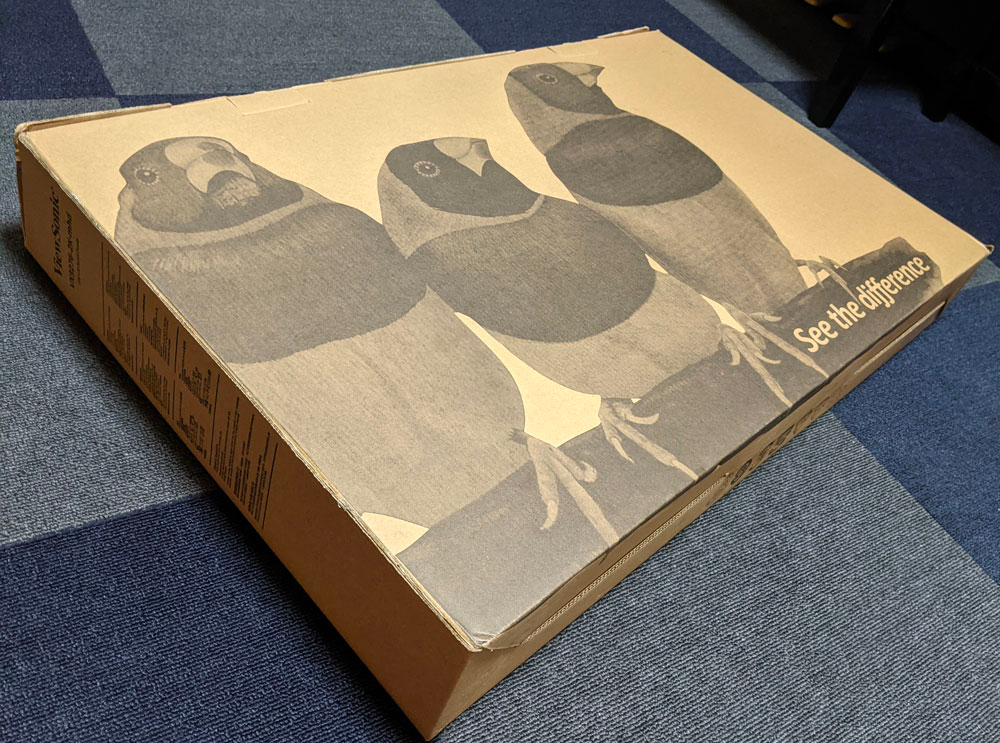 （鳥さん可愛いね）